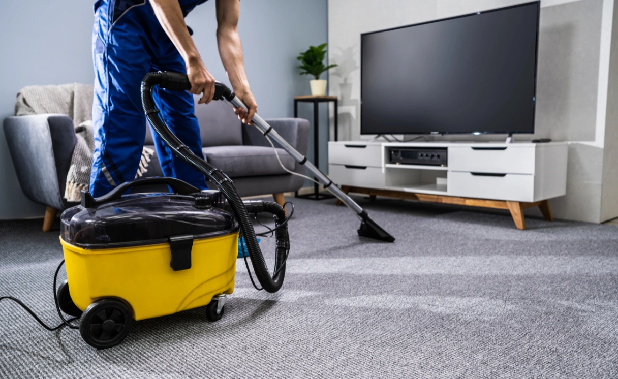 Extract Upholstery Cleaning Mornington Contact Office